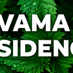 Vama Residency