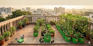 Terrace Garden